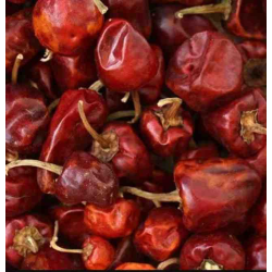 round dry chilly குண்டு மிளகாய்