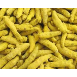turmeric root கொம்பு மஞ்சள்