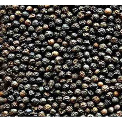 pepper மிளகு