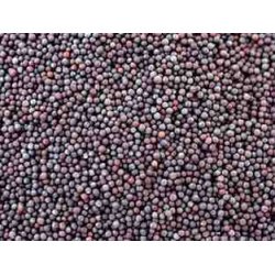 mustard seeds big பெரிய கடுகு