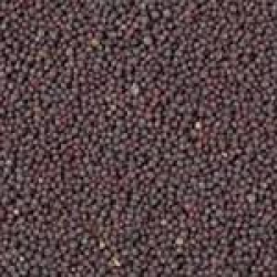 small mustard seeds சிறிய கடுகு