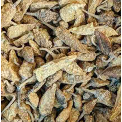 Sun-dried Curd Chillies மோர் மிளகாய்