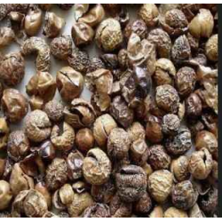 Sun Dried Turkey berry சுண்டைக்காய் வத்தல்