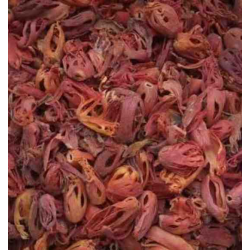 mace ஜாதி பத்திரி
